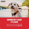 image:imageNatural Farm Jumbo Bully Sticks 6 Inch 4 Pack Odor Free ExtraThick Dog Chews  Fully Digestible 100 Beef Treats Supports Dental Health Keep Your Dog Busy with 50 Longer Lasting Chews6 Inch  4Pack