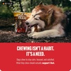 image:imageNatural Farm OdorFree Braided Bully Sticks 6 Inch 5 Pack  100 GrassFed Beef GrainFree Low Fat amp Fully Digestible Best Dental Treats  Safest Long Lasting Pizzle Chews to Keep Your Dog Busy45Inch