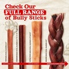 image:imageNatural Farm OdorFree Braided Bully Sticks 6 Inch 5 Pack  100 GrassFed Beef GrainFree Low Fat amp Fully Digestible Best Dental Treats  Safest Long Lasting Pizzle Chews to Keep Your Dog Busy6inch