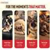 image:imageNatural Farm OdorFree Bully Sticks 12 Inch 5 Count  Fully Digestible 100 Beef Pizzle ChewsGrassFed NonGMOGrainFree Natural LongLasting Chews for Small amp Large Dogs