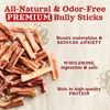 image:imageNatural Farm OdorFree Bully Sticks 48 16oz ALLNATURAL LongLasting Chews 100 Beef Pizzle GrassFed GrainFree HormoneFree Protein for Muscle Development amp Energy Perfect For Medium Dogs24inch
