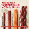 image:imageNatural Farm OdorFree Bully Sticks 48 16oz ALLNATURAL LongLasting Chews 100 Beef Pizzle GrassFed GrainFree HormoneFree Protein for Muscle Development amp Energy Perfect For Medium Dogs24inch