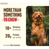 image:imageNatural Farm OdorFree Collagen Chews 12Inch 12Pack Long Lasting Bully Sticks amp Rawhide Alternative Dog Treats 95 Collagen High Protein Best Dental Dog Treats  Medium amp Large Dogs7inch