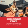 image:imageNatural Farm OdorFree Collagen Chews 12Inch 12Pack Long Lasting Bully Sticks amp Rawhide Alternative Dog Treats 95 Collagen High Protein Best Dental Dog Treats  Medium amp Large Dogs24inch