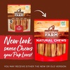 image:imageNatural Farm OdorFree Curly Bully Sticks 1012 Inch 5 Pack Fully Digestible 100 Beef Pizzle Chews More Engagement amp Fun GrassFed NonGMO Fully Digestible  Best for Small amp Medium ChewersChips  46 Inch  8 Ounce