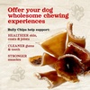 image:imageNatural Farm OdorFree Curly Bully Sticks 1012 Inch 5 Pack Fully Digestible 100 Beef Pizzle Chews More Engagement amp Fun GrassFed NonGMO Fully Digestible  Best for Small amp Medium ChewersChips  46 Inch  8 Ounce