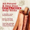 image:imageNatural Farm OdorFree Thick Bully Sticks 6 5Pack AllNatural LongLasting Dog Chews 100 Beef Pizzle GrassFed GrainFree Protein for Muscle Development amp Energy Perfect for Medium Chewers12inch