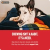 image:imageNatural Farm OdorFree Thick Bully Sticks 6 5Pack AllNatural LongLasting Dog Chews 100 Beef Pizzle GrassFed GrainFree Protein for Muscle Development amp Energy Perfect for Medium Chewers6inch