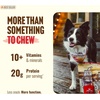 image:imageNatural Farm OdorFree Thin Bully Sticks 4 24Pack AllNatural LongLasting Dog Chews 100 Beef Pizzle GrassFed GrainFree Protein for Muscle Development amp Energy Perfect for Small Dogs4inch