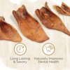 image:imageNatural Farm Pig Ears for Dogs 25 Pack AllNatural WholeThick Pigs Ears Single Ingredient amp Highly Digestible Better Than Rawhide Dog Snacks Dog Pig Ears for Puppy Medium amp Large DogsHalf Ears