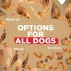 image:imageNatural Farm Pig Ears for Dogs 25 Pack AllNatural WholeThick Pigs Ears Single Ingredient amp Highly Digestible Better Than Rawhide Dog Snacks Dog Pig Ears for Puppy Medium amp Large DogsFull Ears