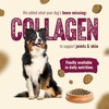 image:imageNatural Farm High Protein Dry Dog Food for All Life Stages with Collagen Every Bag Contains 70 Real Fish and 30 Ancient Super Food Grains Complete and Balanced Nutrition 4Lb BagMeat
