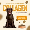 image:imageNatural Farm High Protein Dry Dog Food for All Life Stages with Collagen Every Bag Contains 70 Real Fish and 30 Ancient Super Food Grains Complete and Balanced Nutrition 4Lb BagPoultry