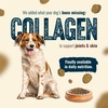 image:imageNatural Farm High Protein Dry Dog Food for All Life Stages with Collagen Every Bag Contains 70 Real Fish and 30 Ancient Super Food Grains Complete and Balanced Nutrition 4Lb BagFish