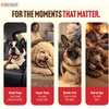 image:imageNatural Farm OdorFree Bully Sticks 24 8oz AllNatural LongLasting Chews 100 Beef Pizzle GrassFed GrainFree HormoneFree Protein for Muscle Development amp Energy Perfect for Small Dogs48inch
