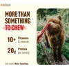image:imageNatural Farm OdorFree Super Collagen Dog Chews 6Inch 25Pack The First Ever Real Bull Sticks Alternative 100 Natural Angus Hide Collagen Treats  More Protein More Chew Time for All Dogs35Inch