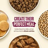 image:imageNatural Farm Puppy Recipe  Wet Dog Food 128oz can case of 12Beef  12 Count