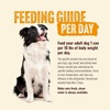 image:imageNatural Farm Puppy Recipe  Wet Dog Food 128oz can case of 12Chicken  12 Count