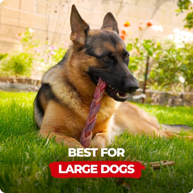 Natural Farm | All‑Natural Dog Chews – Single‑Ingredient Safe Pet Treats