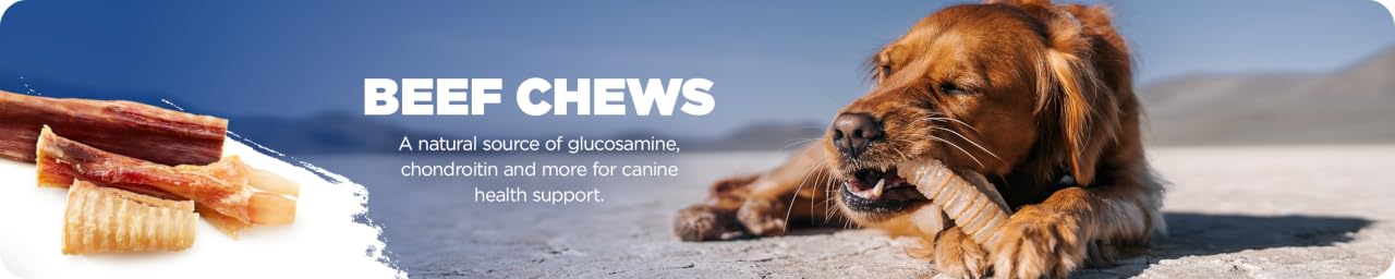 Natural Farm | All‑Natural Dog Chews – Single‑Ingredient Safe Pet Treats