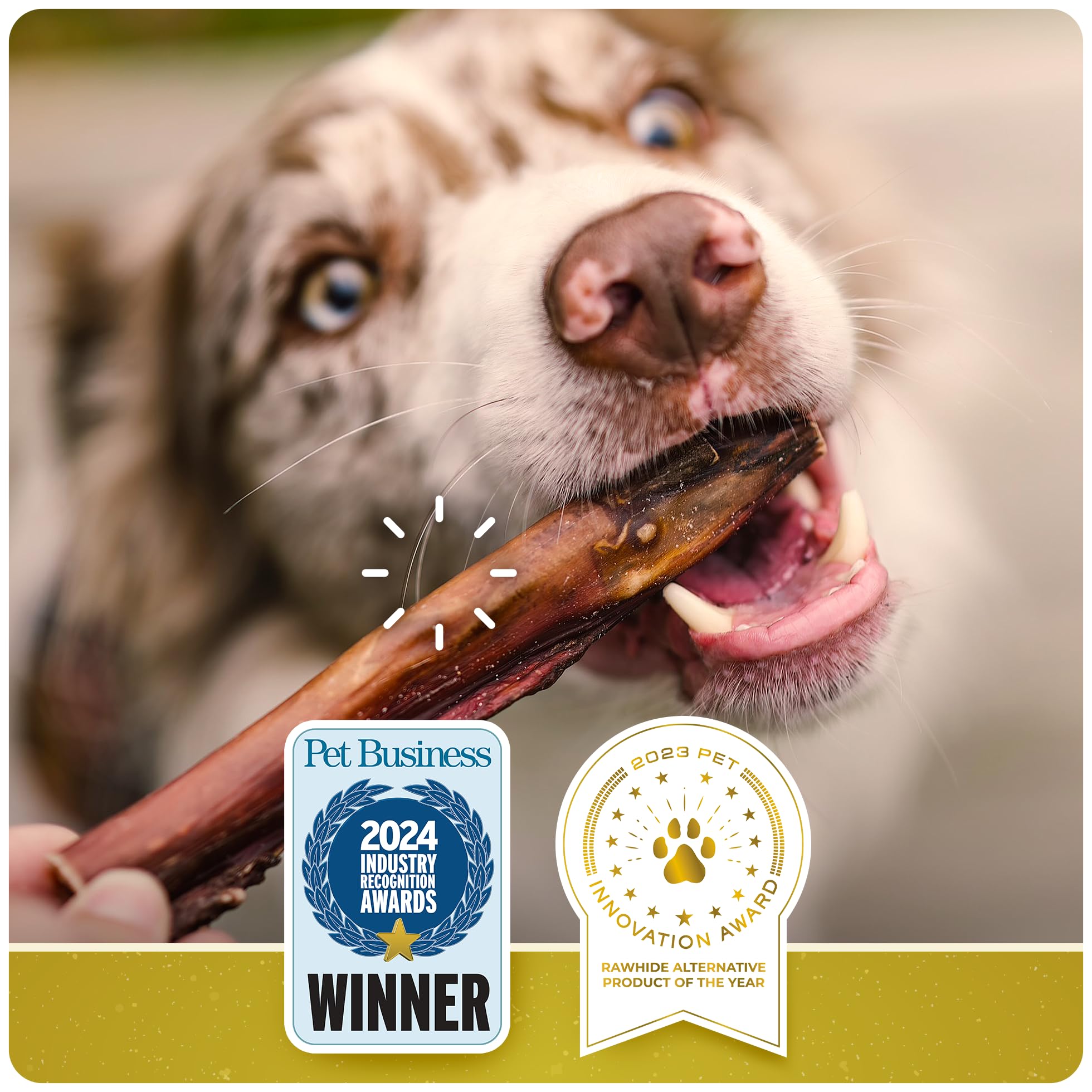 Natural Farm | All‑Natural Dog Chews – Single‑Ingredient Safe Pet Treats