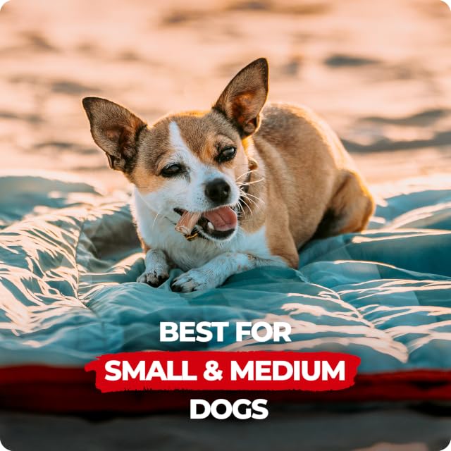 Natural Farm | All‑Natural Dog Chews – Single‑Ingredient Safe Pet Treats